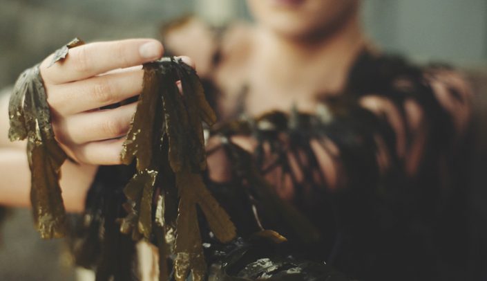 Research into the benefits of seaweed on skin cells – Technology Gateway and Voya Research into the benefits of seaweed on skin cells - Technology Gateway and Voya