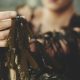 Research into the benefits of seaweed on skin cells - Technology Gateway and Voya